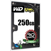 Western Digital WD2500SD-01KCC0 250GB 7200RPM 3.5" Sata Hard Drive